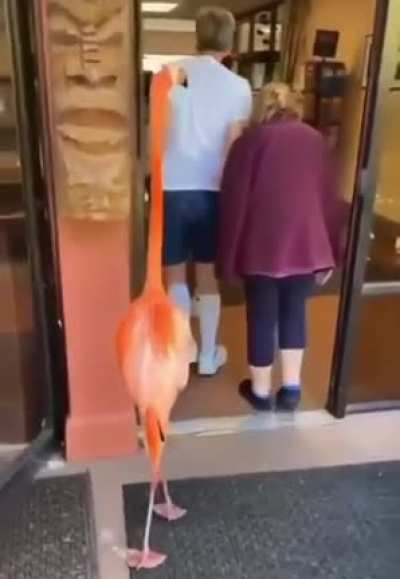 Act casual, don&rsquo;t make eye contact
