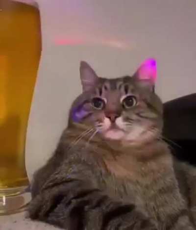 Partying is boring.