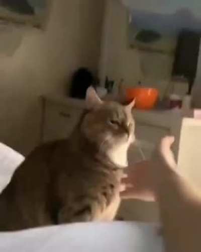 Give me high five
