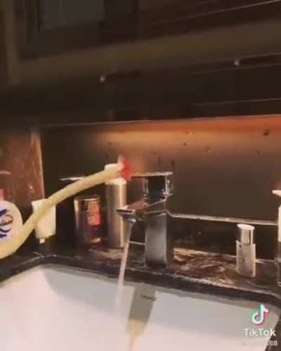 TikTok video that like a Yakuza Revelation