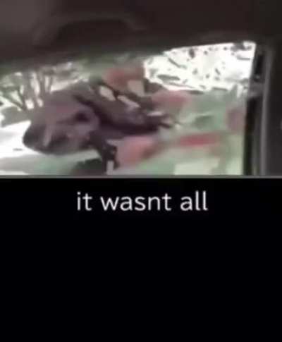RIP driver