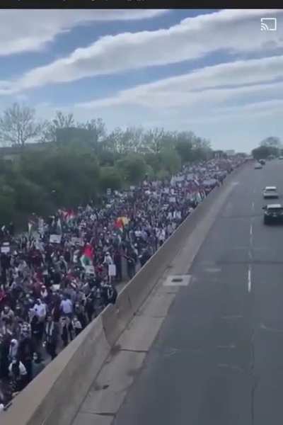 Over 200k protester in Detroit today in solidarity with Palestine