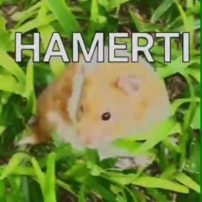 Hamert