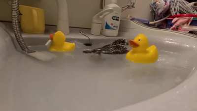 shitposting - Video #9583