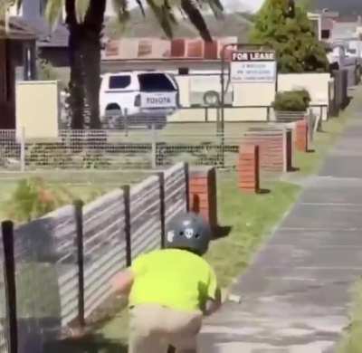 It's magpie season
