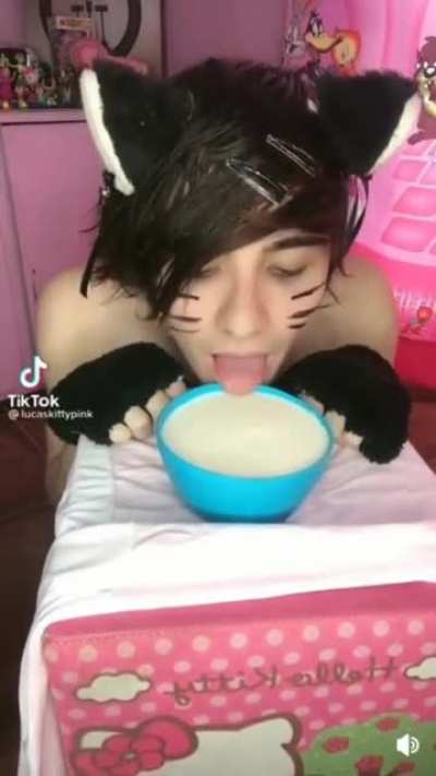 Cat guy licking milk tiktok cringe