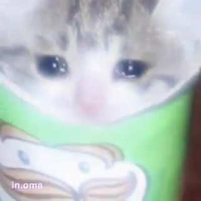 r&uuml;l