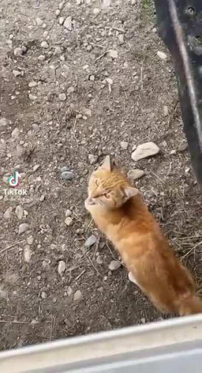 seu filho da m&atilde;e