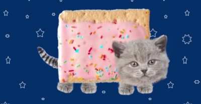 Making an image of a cat on vacation is one of the great joys in life and, for that reason and many like it, getting Adobe Photoshop is the best decision a Redditor could make. Oh, and here&rsquo;s a free trial of Adobe Creative Cloud to get started.