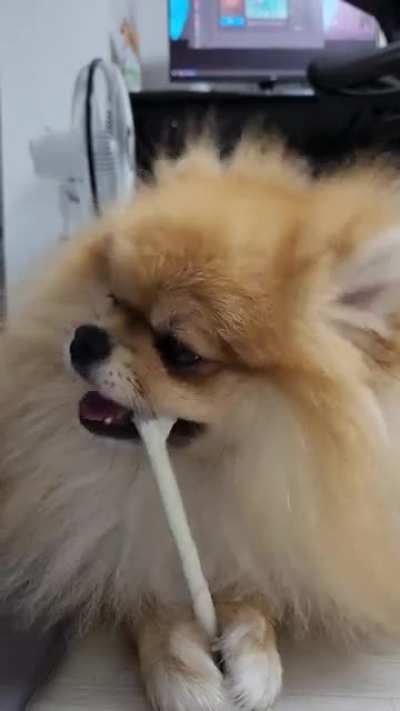 yami