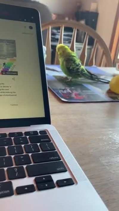 Her feather scared her