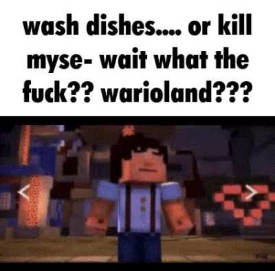 Why are there spiders
