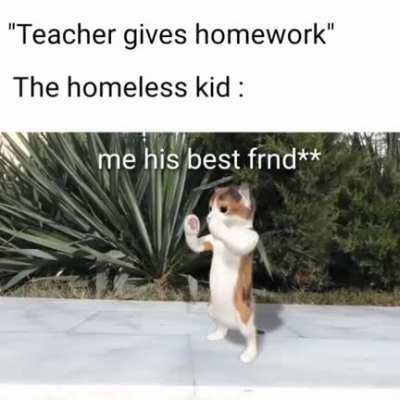 Wholesome meme for y'all