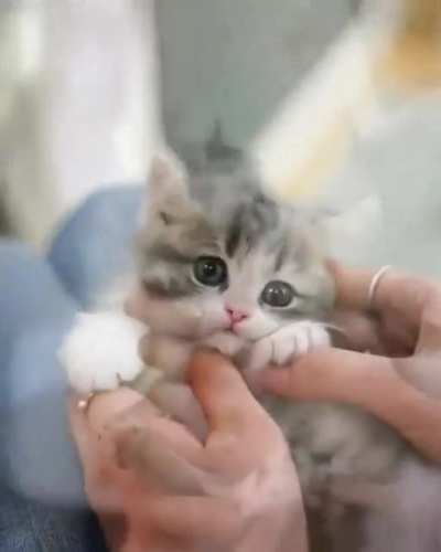 Just smol