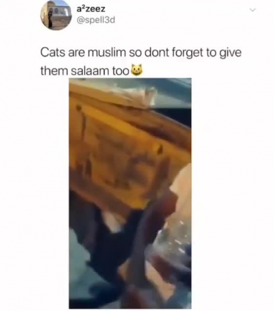 He&rsquo;s Meowslim 😤 give him salaams. Press Y to give salaams