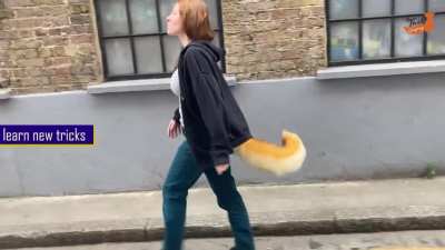 I make animatronic tails! They come in all shapes and sizes, and we customize the covers for you, anyway you like. If you have a ref sheet, or a sketch of your fursona, let me have it. There's no extra charge. We are thetailcompany.com - below is Walk Mod