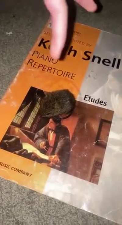 Omg