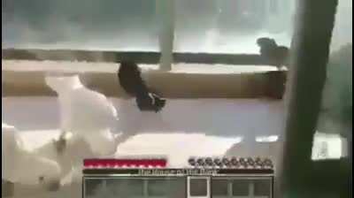 Random video #47