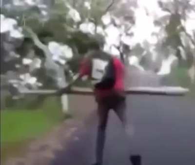 Bonk