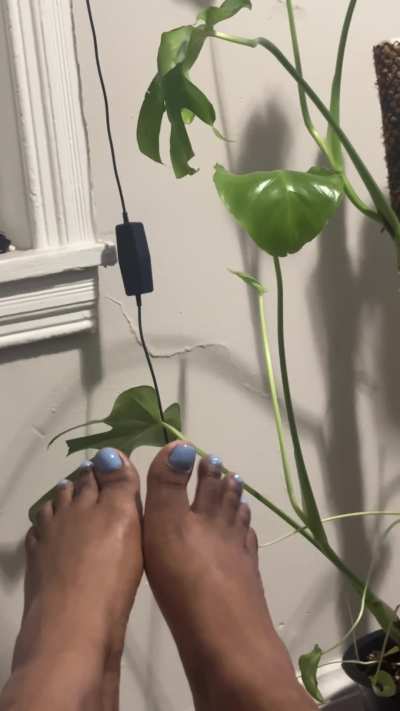 just got my feet done🩵