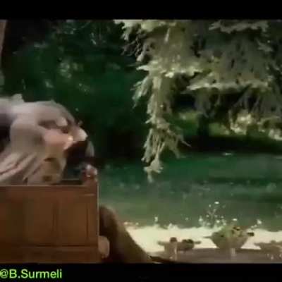 sultanım sakin olun