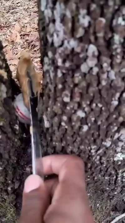 &lrm;