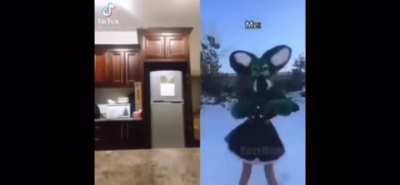 Furry Boom