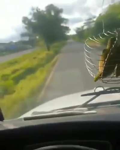 Se lo coge la policía y la multa va a ser enorme