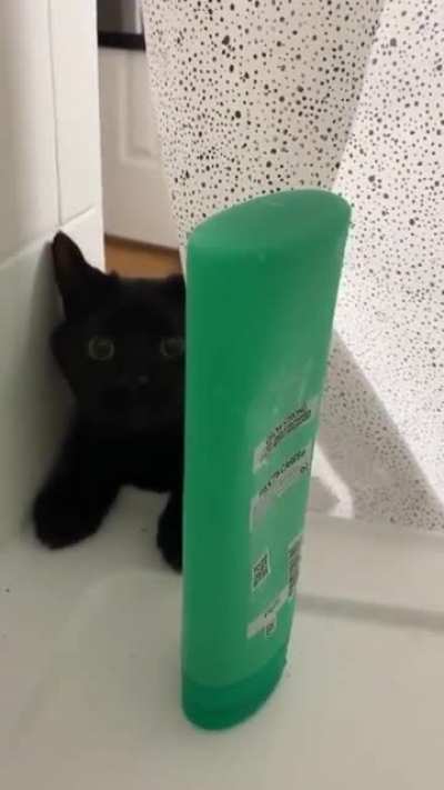 Touch Tha Shampoo
