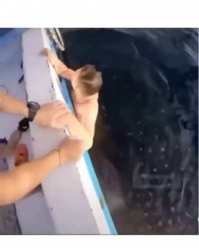 sea creatures