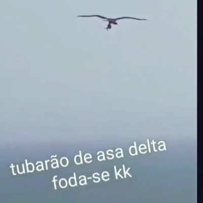 &Aacute;guia salvando tubar&atilde;o de se afogar como e lindo a natureza 😫😫