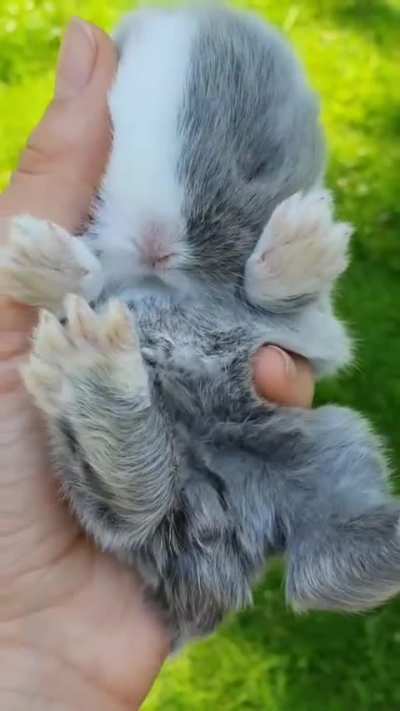 Floofy Handheld
