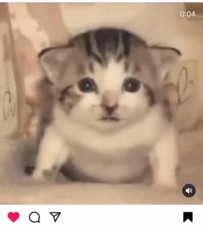 "sensitive content"