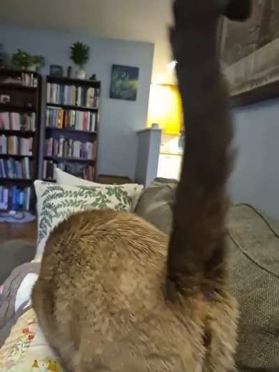 Hes very demanding