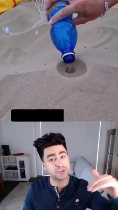 Disco de Meo : Playa Edition