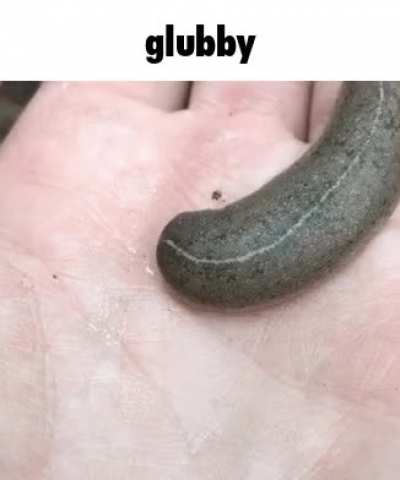 gluber :)