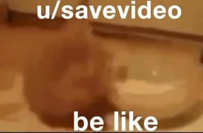 u/savevideo