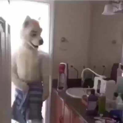 Wolftorn_irl