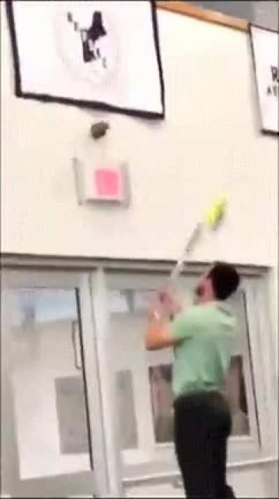 Boioioioioioioing
