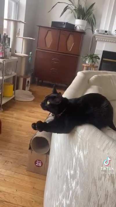 Watching the birds
