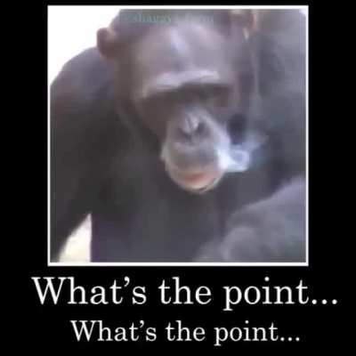 What’s the point...
