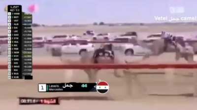 f1 race in syria<wbr>??😱😱😱 mashallah epic camel formula one race no virus full race 69p