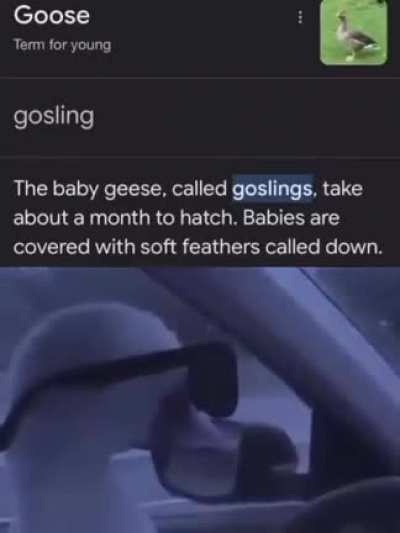 Rule