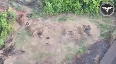 Operators of the Strike Drone Company (47 OMBr) observe multiple Russians enter a dugout, 3 consecutive FPV drone strikes hit the entrance, no one was observed leaving afterwards.