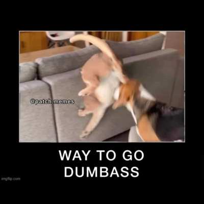 Floppa don&rsquo;t do it!!
