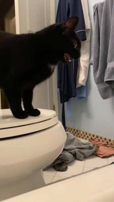 she hasn&rsquo;t learned to use her inside voice even after 2 years