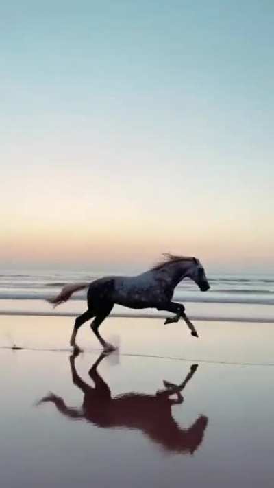 I&rsquo;m speed