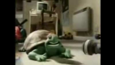 🐢