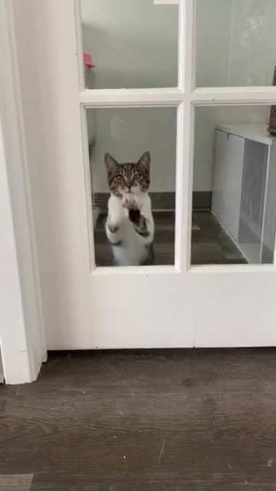 She wanted to see my friend&rsquo;s doggo