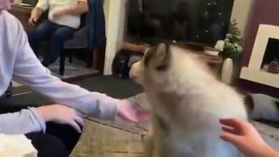 Jesus christ